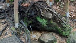 jablonec studanka dobra voda